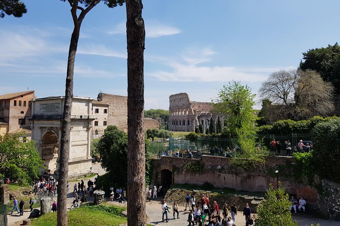 Colosseum Arena Floor, Roman Forum and Palatine Hill Guided Tour - Traveler Recommendations