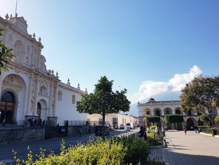 Combo Tour: Colonial Antigua & Guatemala City Explorer Tour - Customer Reviews