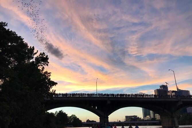 Congress Avenue Bat Bridge Kayak Tour in Austin - Customer Reviews