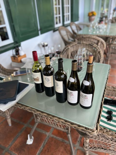 Constantia Half Day Wine Tasting Tour - Vineyard Visit
