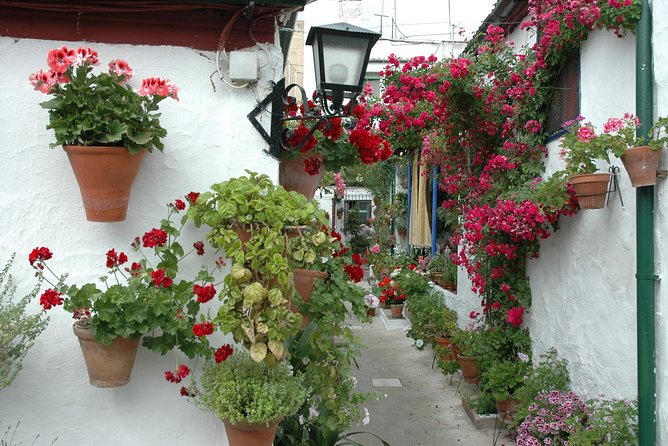 Cordoba Guided Visit to the Popular Patios - Last Words