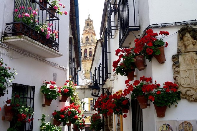 Cordoba Small-Group Day Tour From Seville - Inclusions and Exclusions