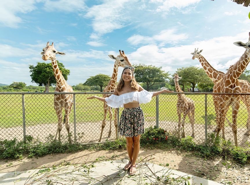 Coron: Black Island & Calauit Private Safari Tour - Tour Guide and Language