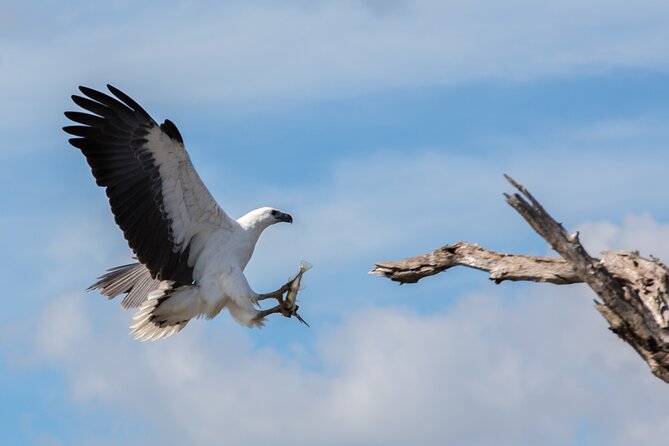 Corroboree Billabong 2.5 Hour Lunch Cruise - Additional Details