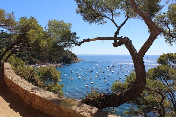 Costa Brava Full Day Trip From Barcelona With Boat Trip - Pricing and Company Information