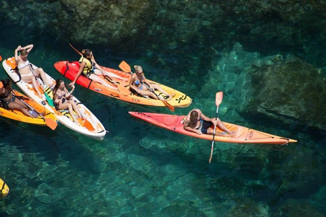 Costa Brava Kayak and Snorkel Day Tour From Barcelona - Common questions