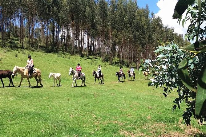 Cusco Small-Group Horseback Ride - Cancellation Policy