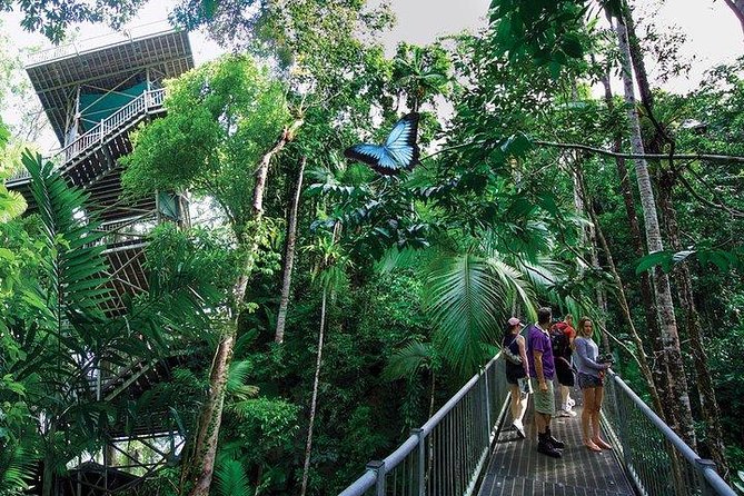 Daintree Discovery Centre Family Pass Ticket - Visitor Experience and Recommendations