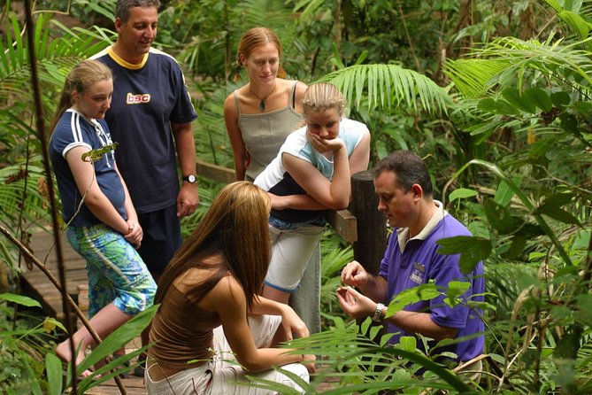 Daintree Discovery Centre Single Pass - Customer Support