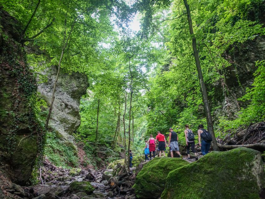Danube Bend: Full-Day Hiking Tour From Budapest - Weather and Regulations