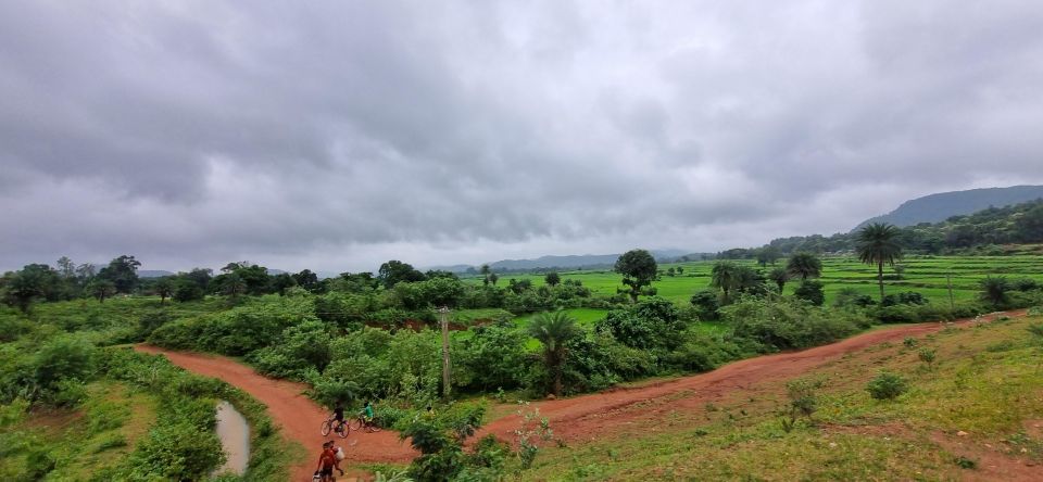 Daringbadi Delight: Immerse in Authentic Rural Odisha Exper - Sustainable Tourism Initiatives