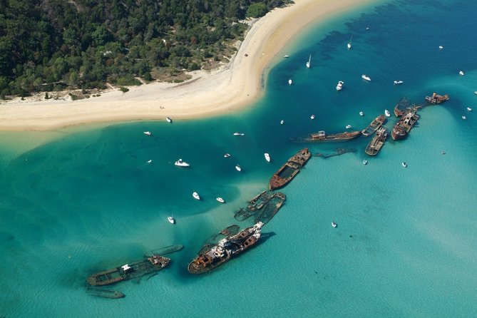 Day Cruise to Tangalooma Island Resort on Moreton Island - Common questions