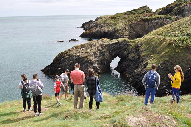 Day Tour From Dublin to Wicklow: Cliffs, Heritage, Wildlife, Gaol - Tour Details and Activities