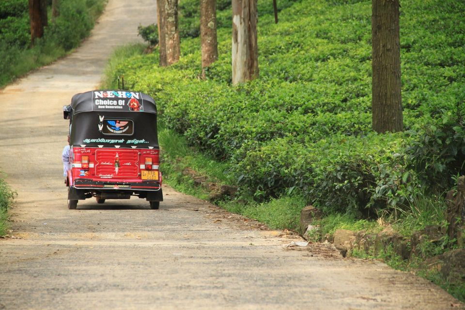 Day Tour of Kandy by Tuktuk With Free Lunch and Entry - Additional Inclusions