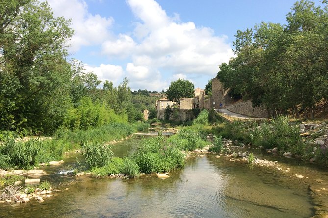 Day Tour to Lagrasse Village and Fontfroide Abbey.Private Tour From Carcassonne. - Booking Recommendations