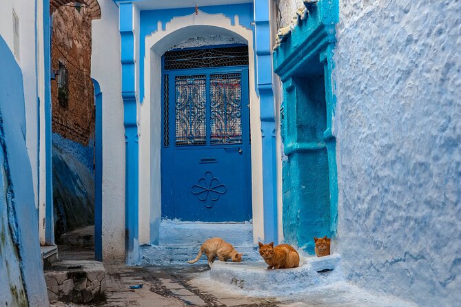 Day Trip From Fes to Chefchaouen - Insider Tips for a Day Trip