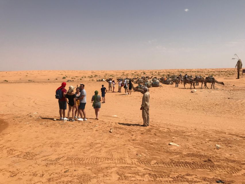 Day Trip to Desert to Ksar Ghilane From Djerba or Zarzis - Common questions