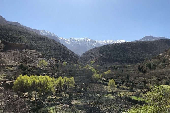 Day Trip to the Atlas Mountains (Ourika Valley & Waterfall) From Marrakech - Last Words