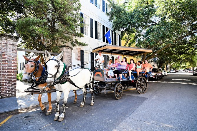 Daytime Horse-Drawn Carriage Sightseeing Tour of Historic Charleston - Additional Tour Information