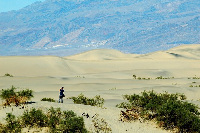 Death Valley Day Trip From Las Vegas - Overall Experience