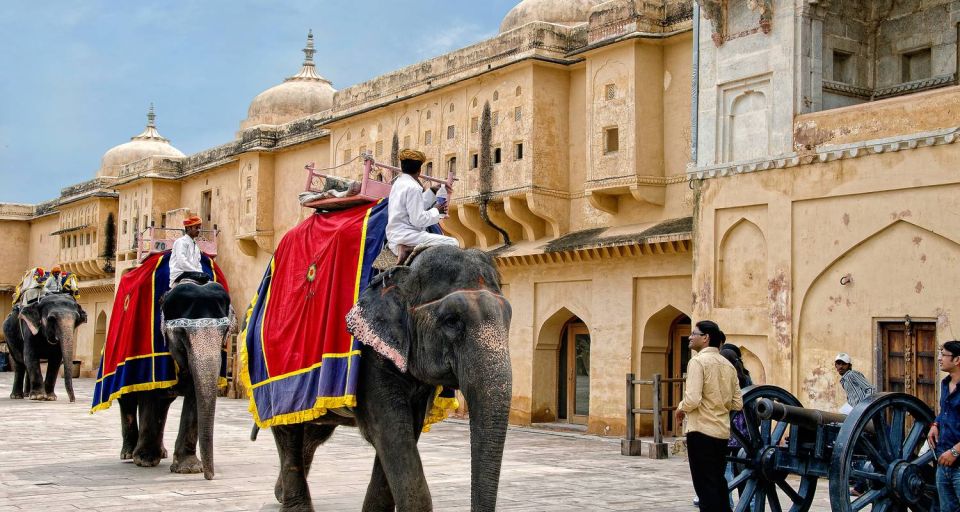 Delhi Agra Jaipur Jodhpur Pushkar Tour 7 Days - Detailed Itinerary and Inclusions