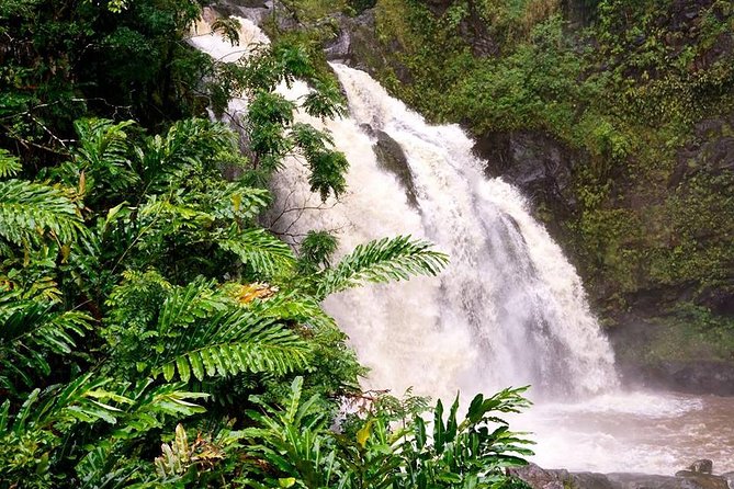 Deluxe Halfway to Hana: Private Tour From Kahului - Common questions