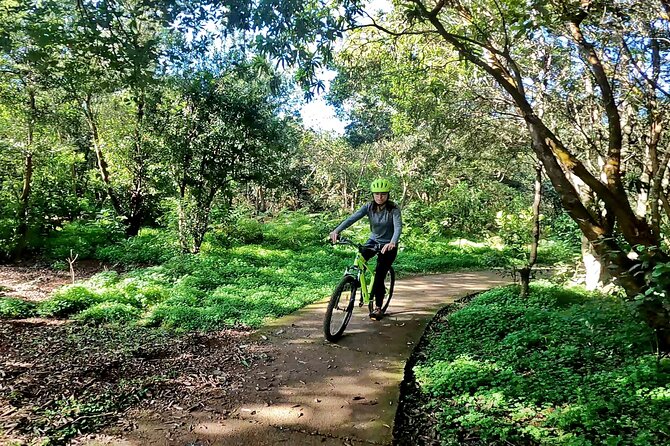 Descend in Mountain Bike in Northern Forests of Gran Canaria - Nearby Accommodation Options