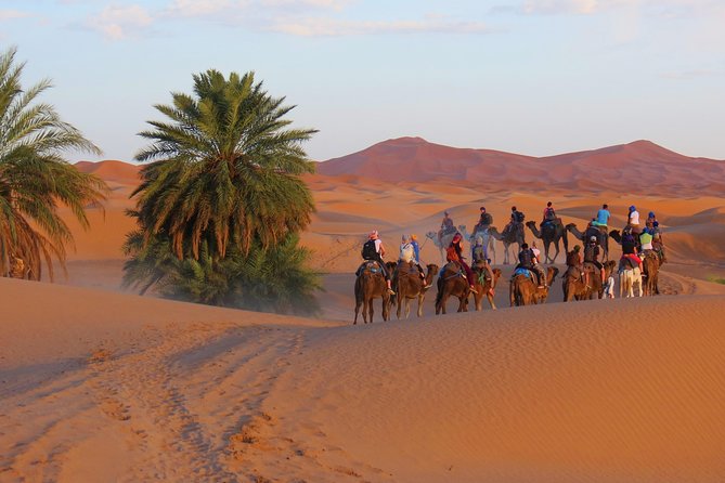 Desert Odyssey: a 2-Day Journey From Marrakech to Zagora - Last Words