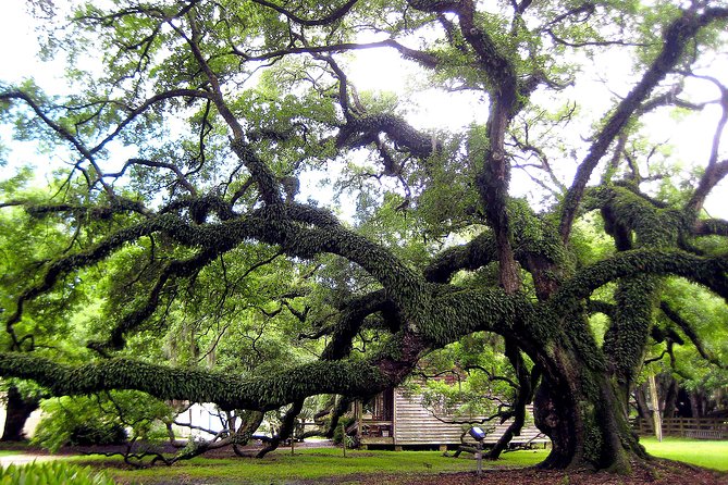 Destrehan Plantation Tour - Common questions