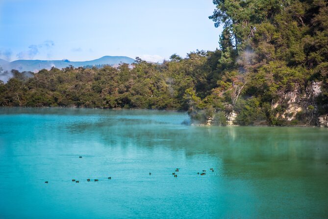 Devils Bath Experience - Private Tour to Wai-O-Tapu & Lake Taupo - Last Words