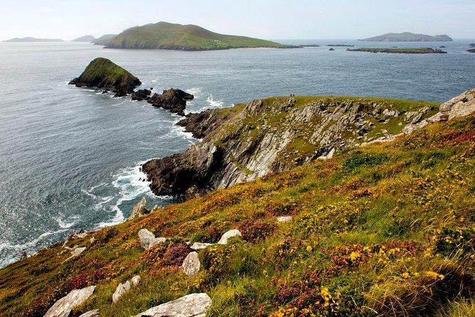 Dingle Peninsula Day Tour From Cork: Including the Wild Altanic Way - Practical Tips and Recommendations