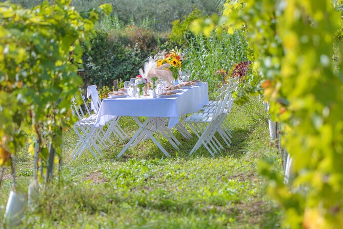 Dinner in the Vineyard French Riviera - Accessibility Information