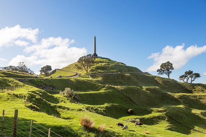 Discover Auckland City - Highlights Tour - Itinerary