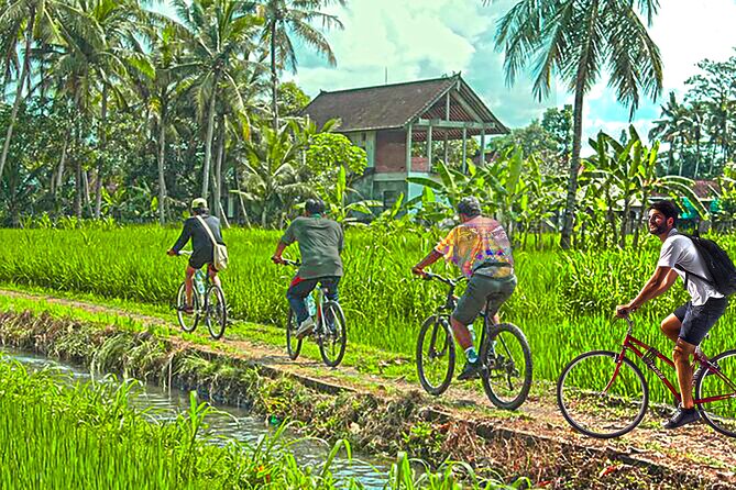 Discover Battambang Local Livelihoods on a Half-Day Bicycle Tour - Bike and Safety Gear