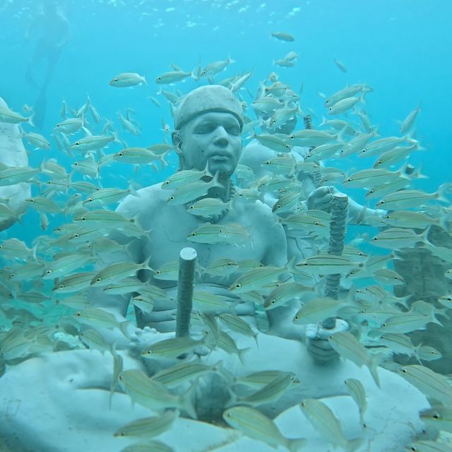 Discover Scuba at the Underwater Sculpture Park - Common questions