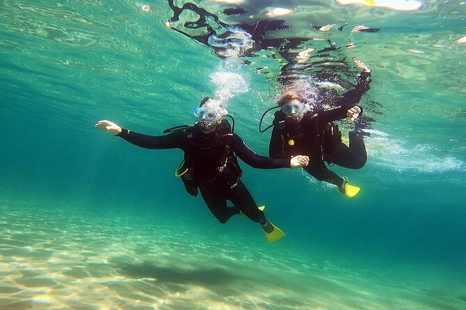 Discover Scuba Diving Experience in Nea Makri - Booking Details and Product Code