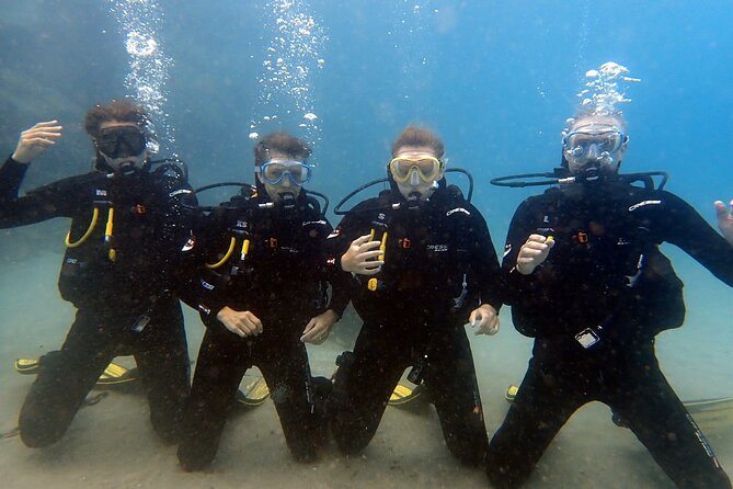 Discover Scuba Diving, Tenerife. Photos and Videos Included - Last Words