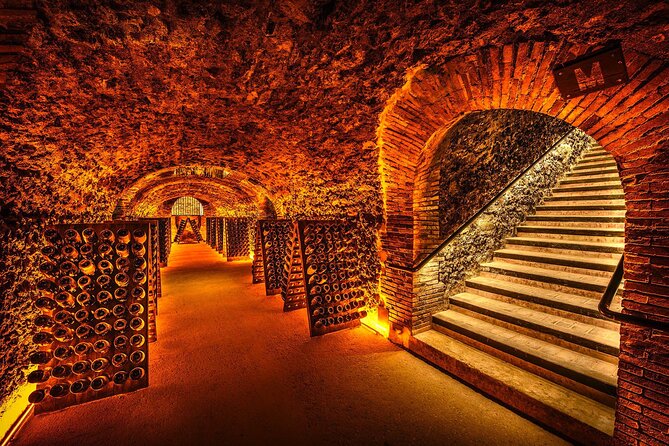 Discover The Cellars in The Heart of The Countryside in Champagne - Last Words