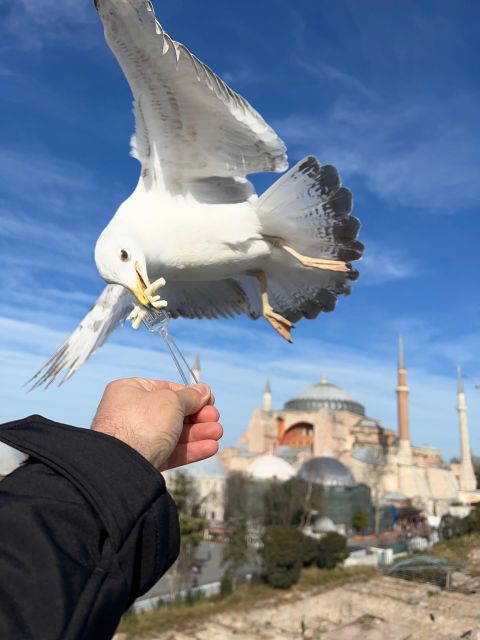 Discover the Highlights of Istanbul: Best Walking City Tour - Cultural Immersion