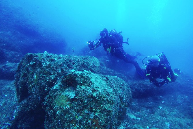 Diving With PADI 5 Star CDC Diving Resort Isola Bella Marine Park Taormina - Booking and Cancellation Policies