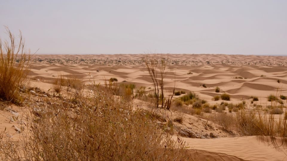 Djerba: 1-Night Desert Tent Safari - Itinerary Overview