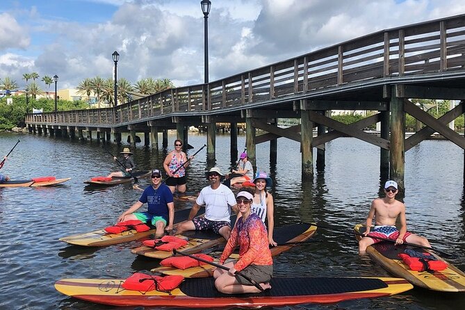 Dolphin and Manatee Stand Up Paddleboard Tour in Daytona Beach - The Sum Up