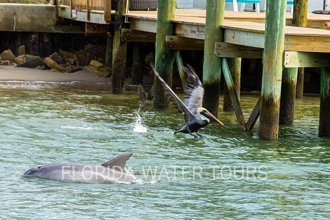 Dolphin and Wildlife Adventure of St. Augustine - Directions and Meeting Point