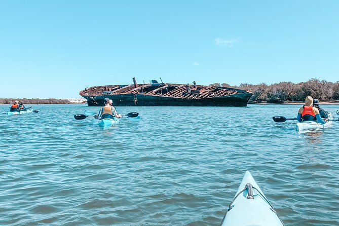 Dolphin Sanctuary Kayak Tour Adelaide - Last Words