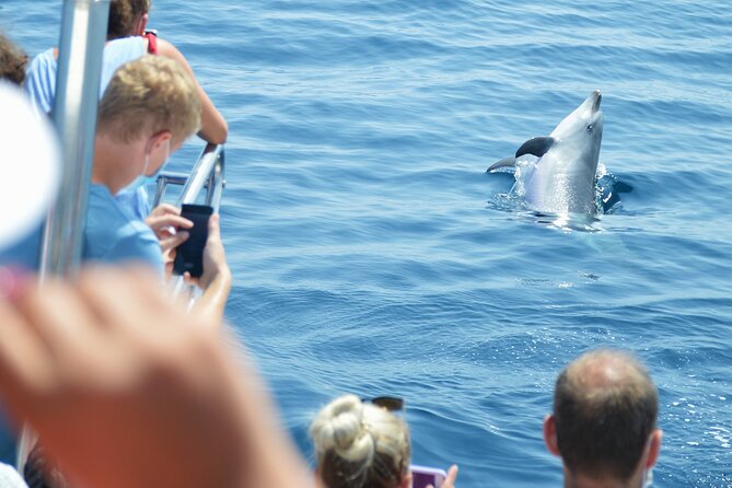 Dolphin Sightseeing Boat Tour From Benalmadena - Common questions