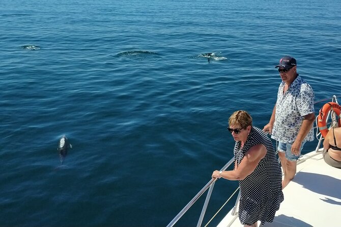Dolphin Spotting Trips in Fuengirola With Free Drinks and Snacks - Cancellation and Refund Policy