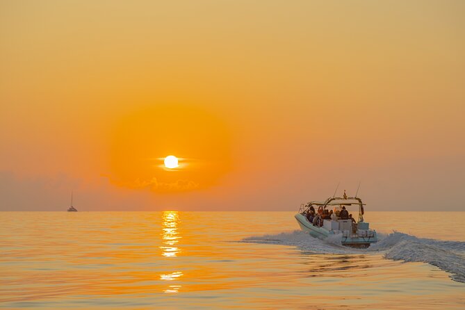 Dolphin Watching by Boat - Terms and Conditions