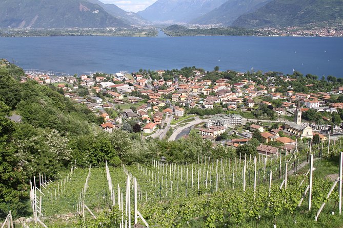 Domaso: Wine Tasting at the Winery on Lake Como - Common questions