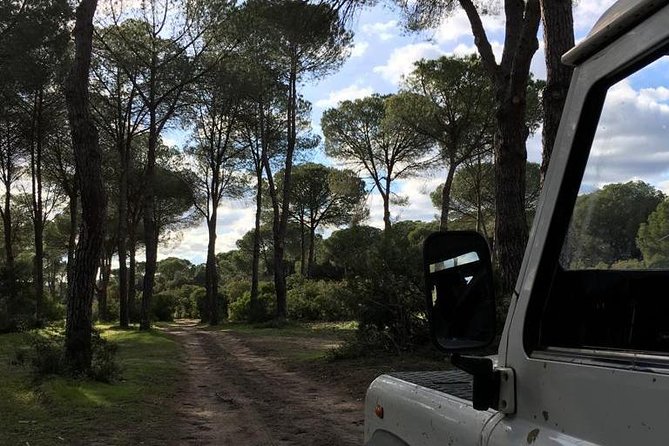 Donana National Park and El Rocío: 4x4 Guided Tour From Seville - Common questions