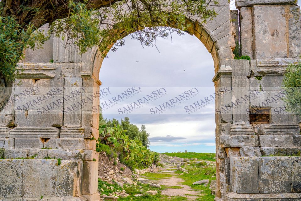 Dougga & Bulla Regia Private Full-Day Tour With Lunch - Tour Inclusions